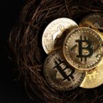 World Wide Chain featured image